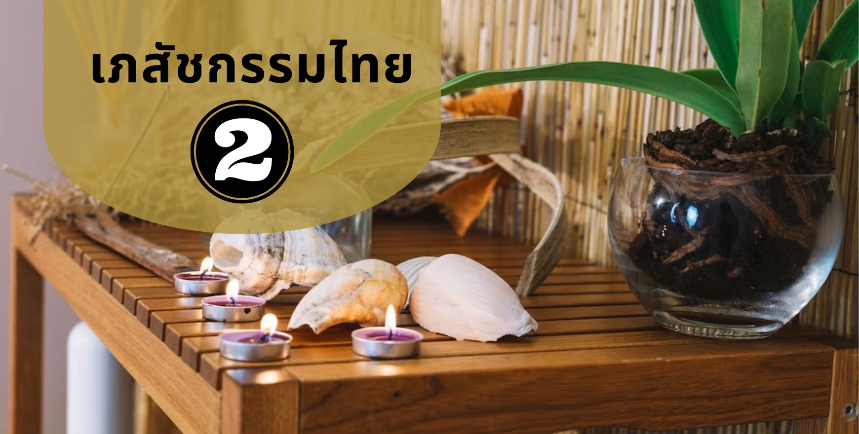 เภสัชกรรมไทยเบื้องต้น 2 | Basic Thai Traditional Pharmacy 2 ICCS030