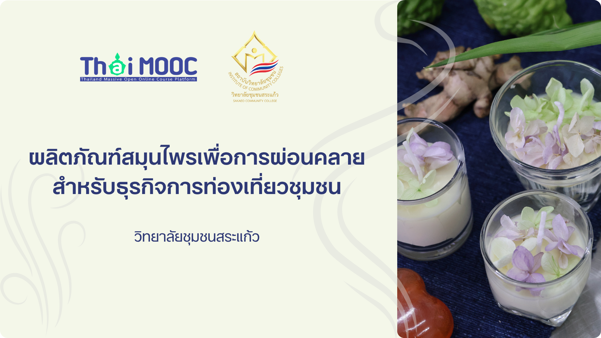 ผลิตภัณฑ์สมุนไพรเพื่อการผ่อนคลายสำหรับธุรกิจการท่องเที่ยวชุมชน | Herbal relaxation products for community tourism businesses SKCC006