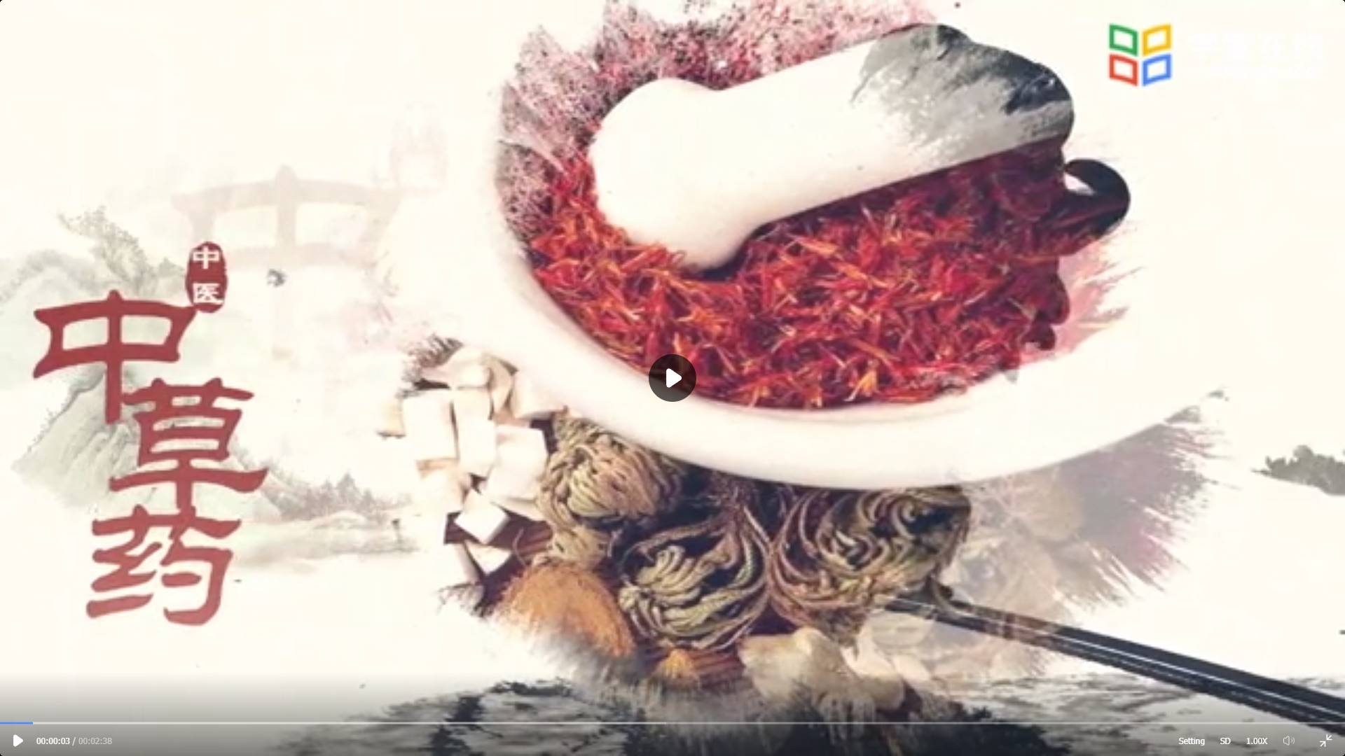 การแพทย์แผนจีน | Traditional Chinese Medicine XUETANGX006